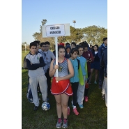 Copa Informatica 2017